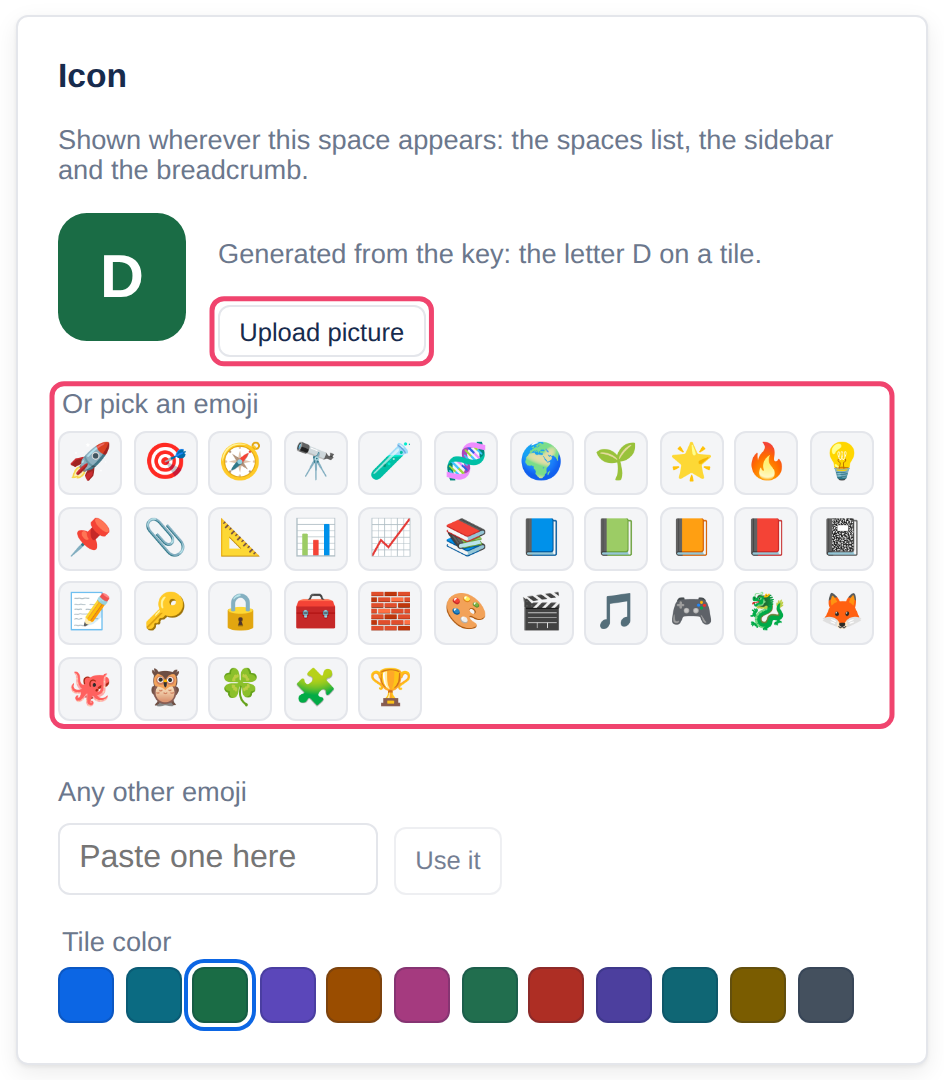 The Icon section of Space settings