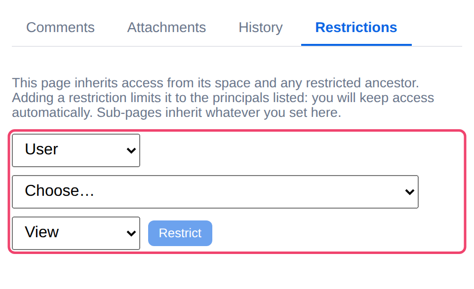 The Restrictions tab and its form